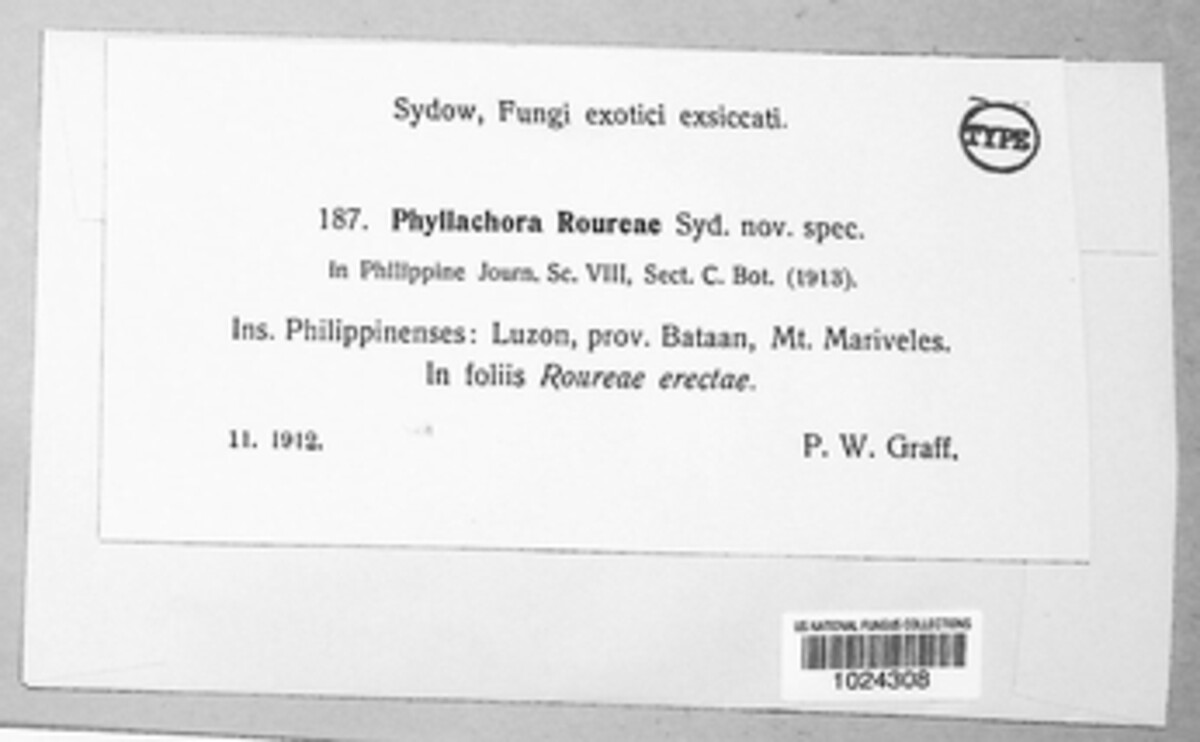 Phyllachora roureae image